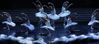 Le Lac des Cygnes | Ballet