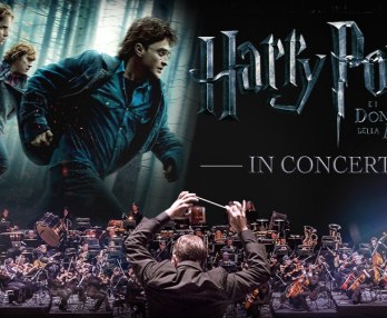Harry Potter e i Doni della Morte, In Concert
